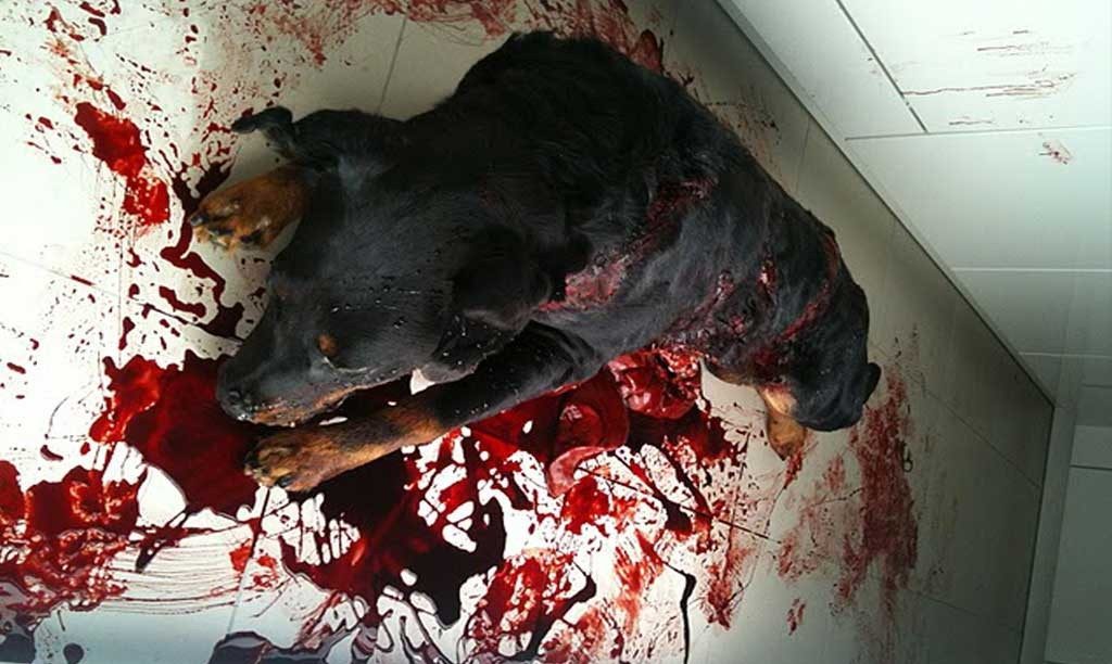 Tycoon, Julian Fullalove Production Designer